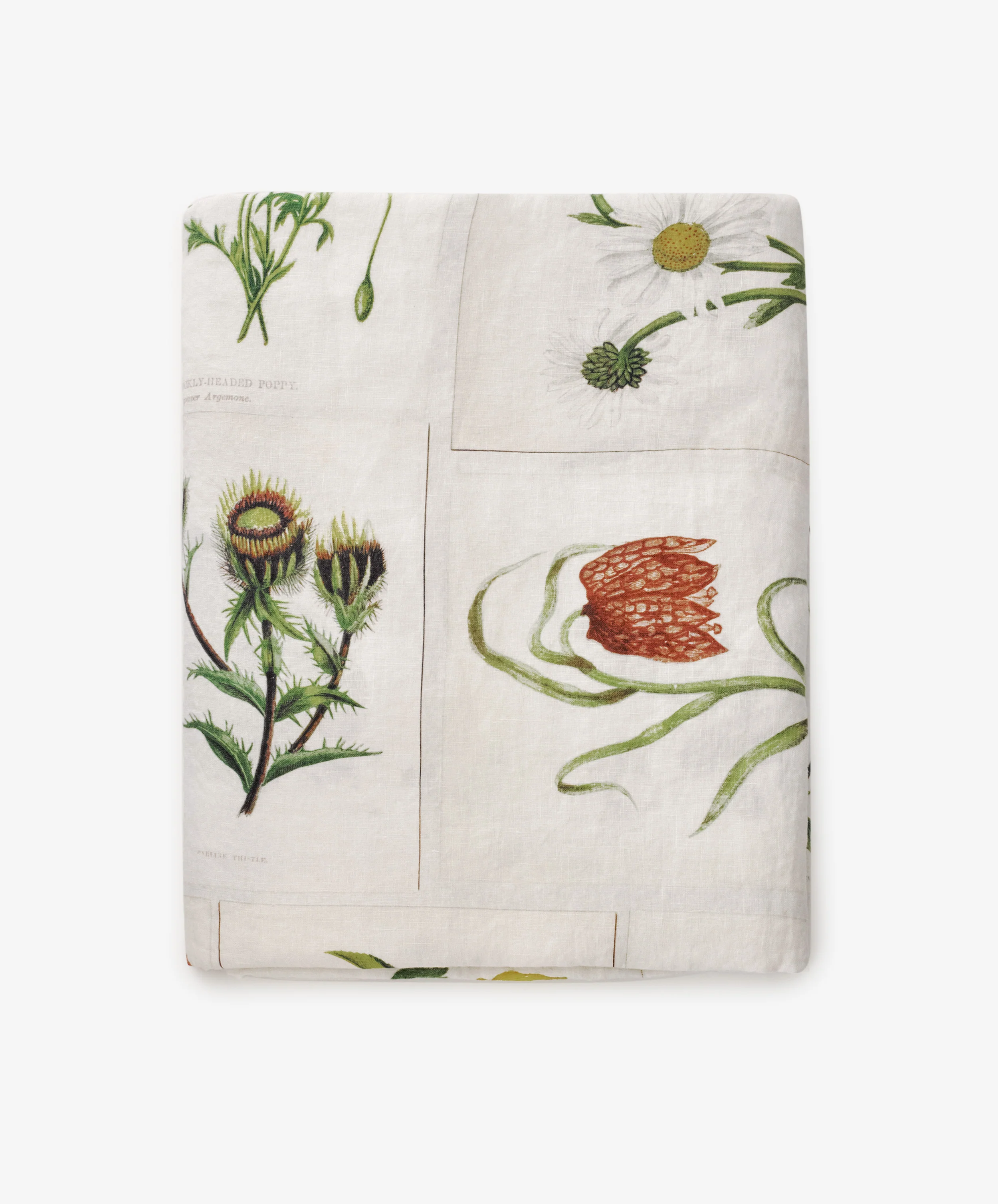 John Derian Botanical Tiles Tablecloth - Image 4