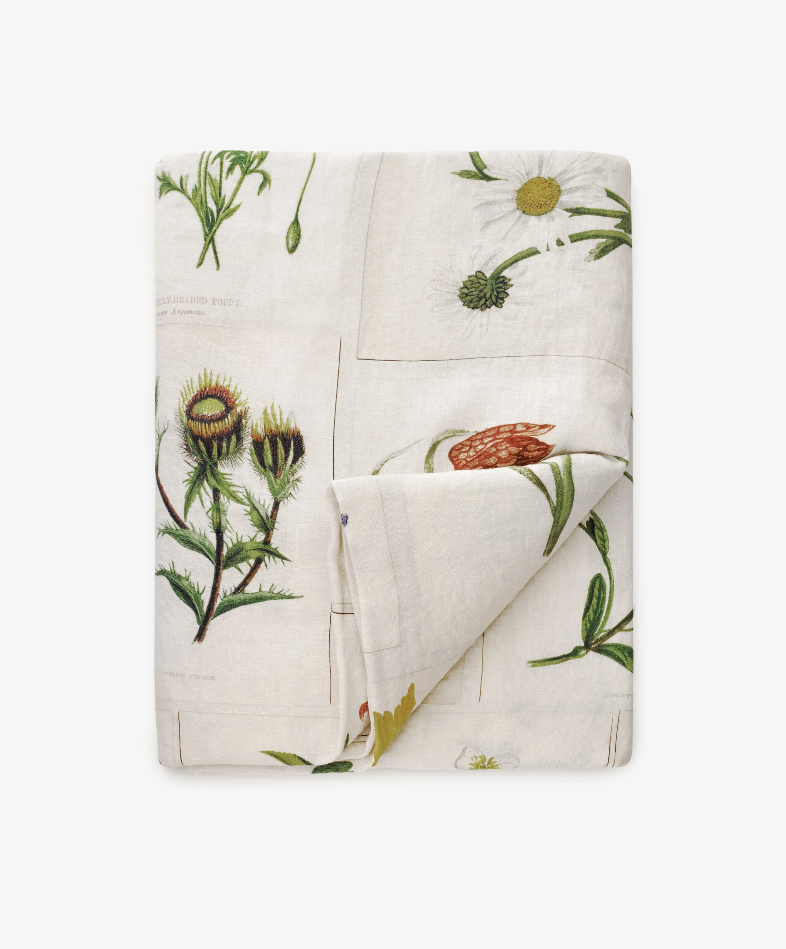 John Derian Botanical Tiles Tablecloth - Image 5