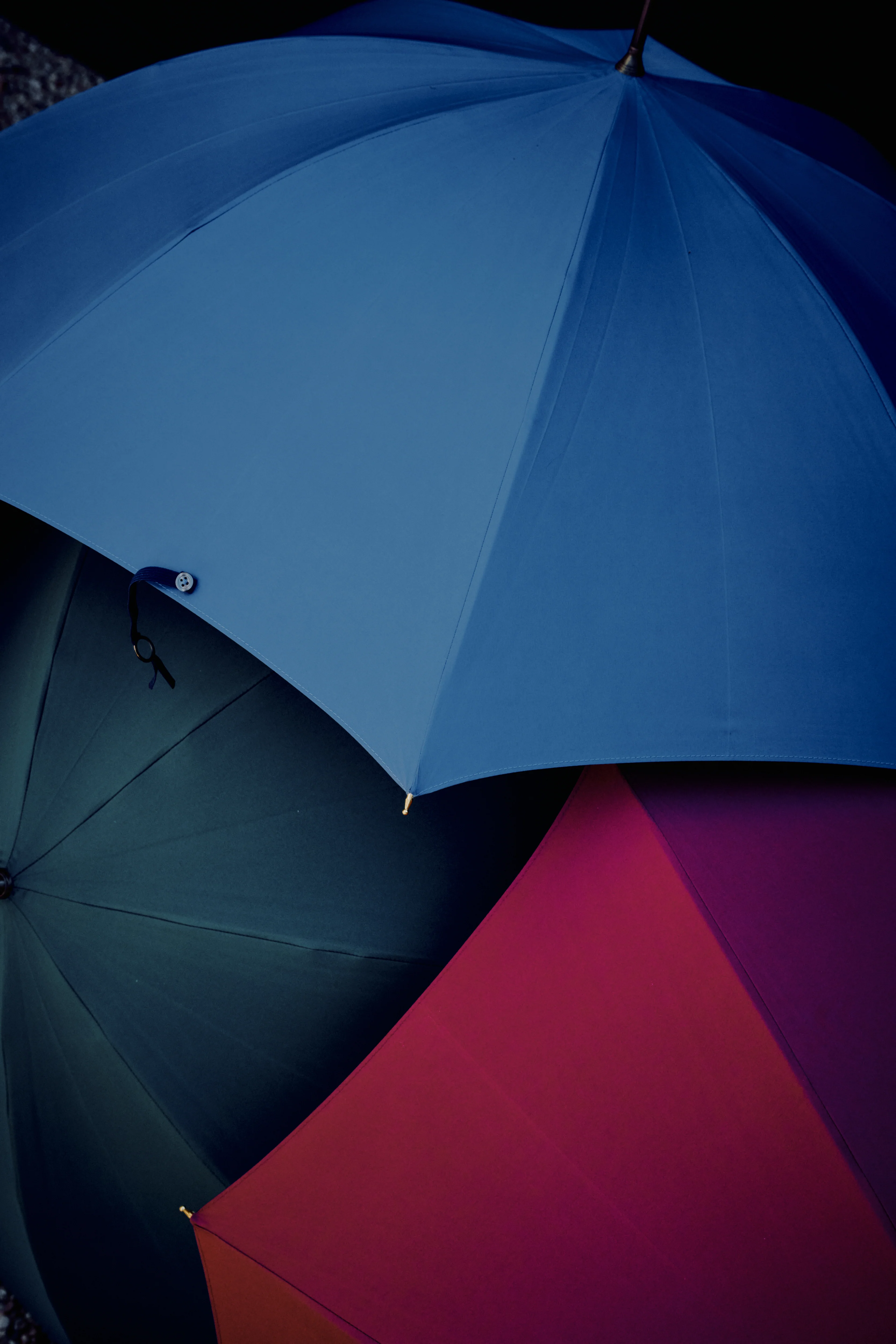 Victoria Ladies Umbrella - Image 3